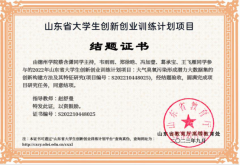 学生获批国创、省创项目情况